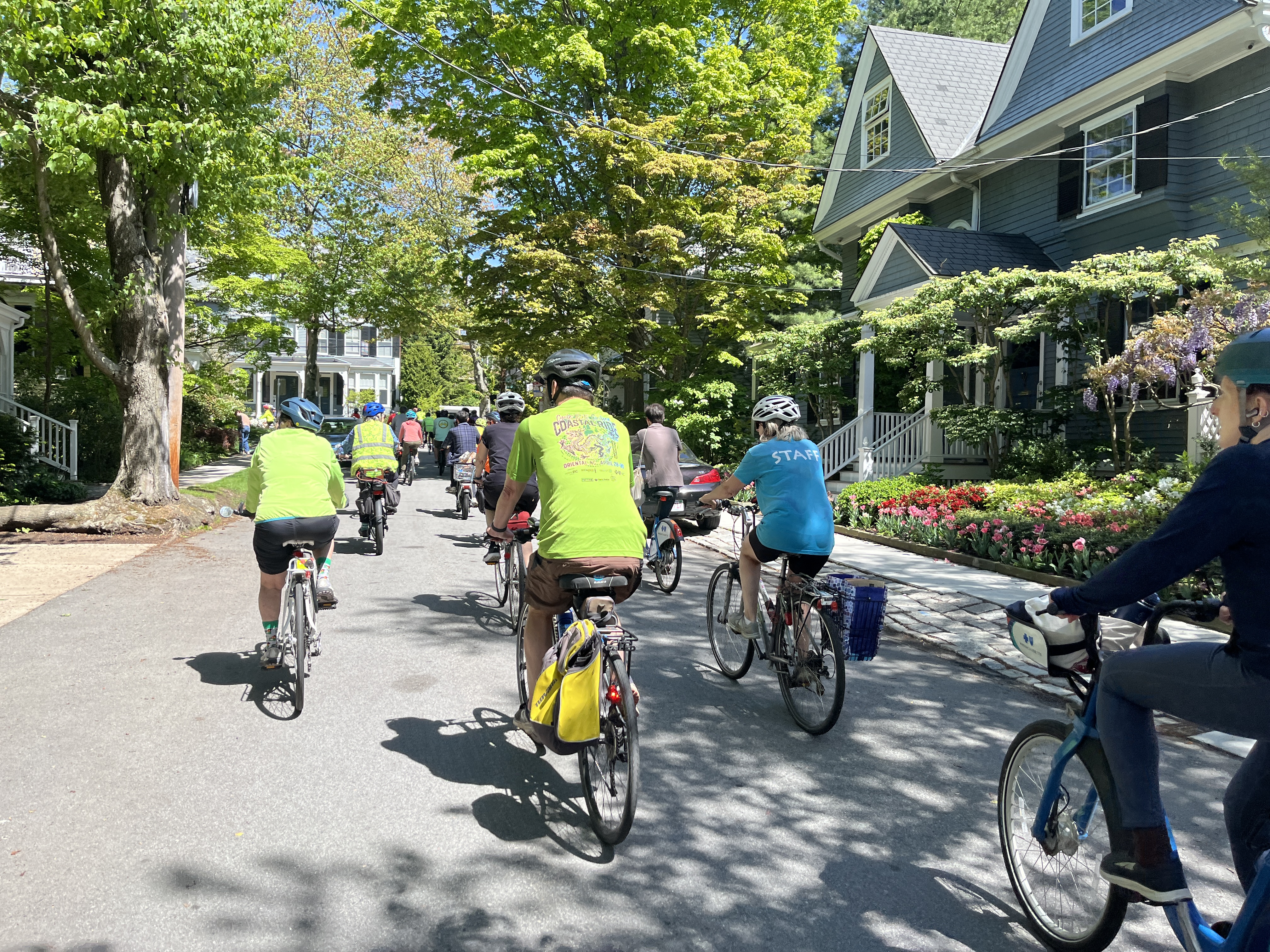 A view of the bike ride group from the back as they go down a residential road.