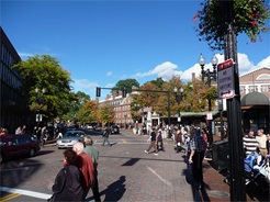 Harvard Square Crosswalk