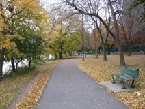 Charles River Path in Cambridge