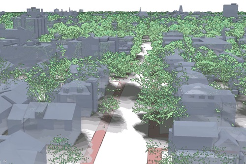 3D buildings and trees