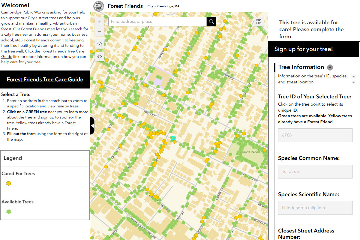 Screenshot of the Cambridge Urban Forest Friends Interactive map showing trees that are in need of care