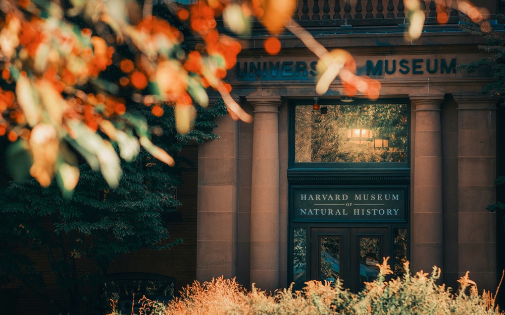 Entrance to the Harvard Museum of Natural History.