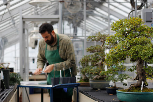 Sean Halloran demonstrates plant grafting.