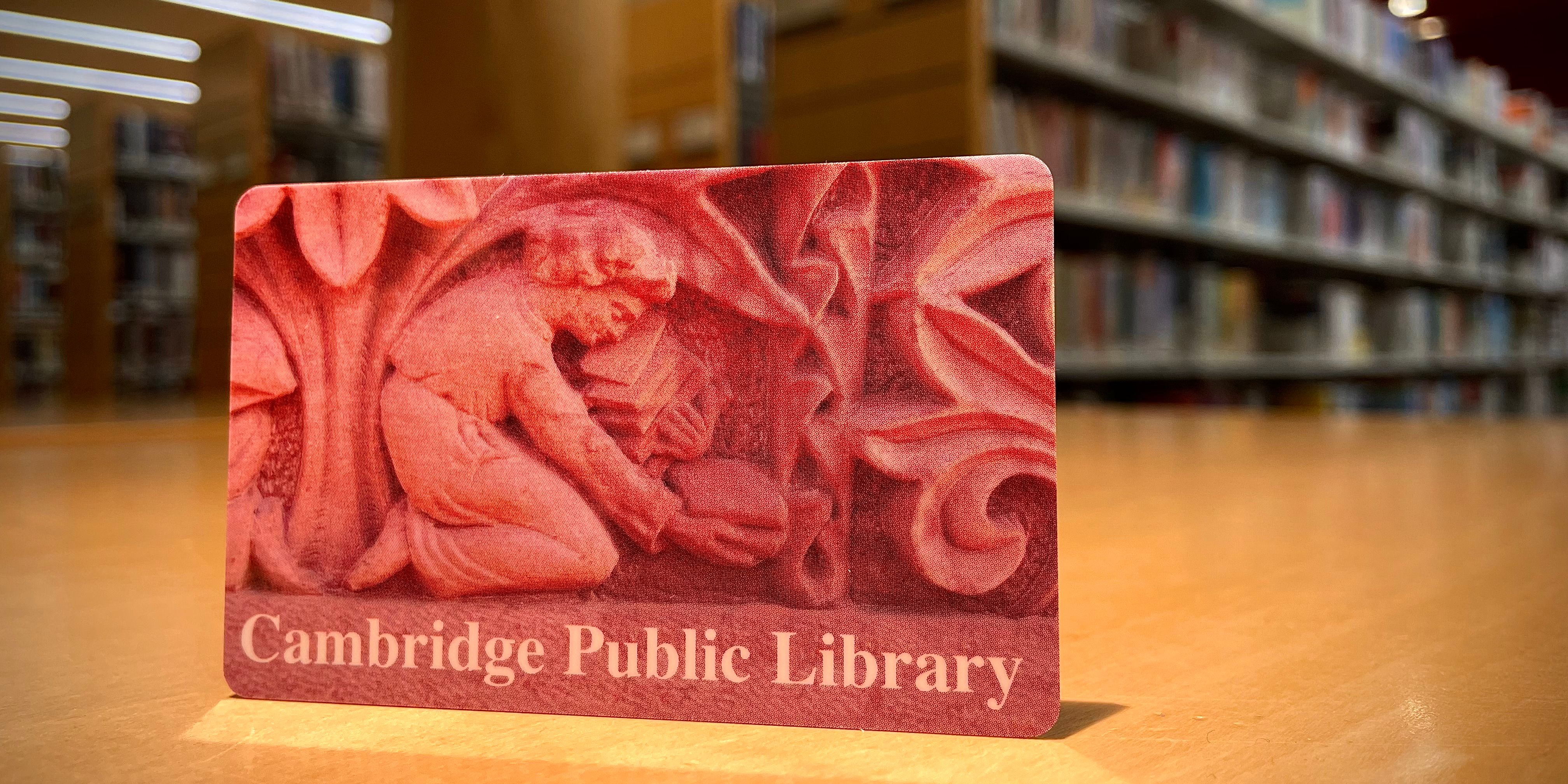 get a library card