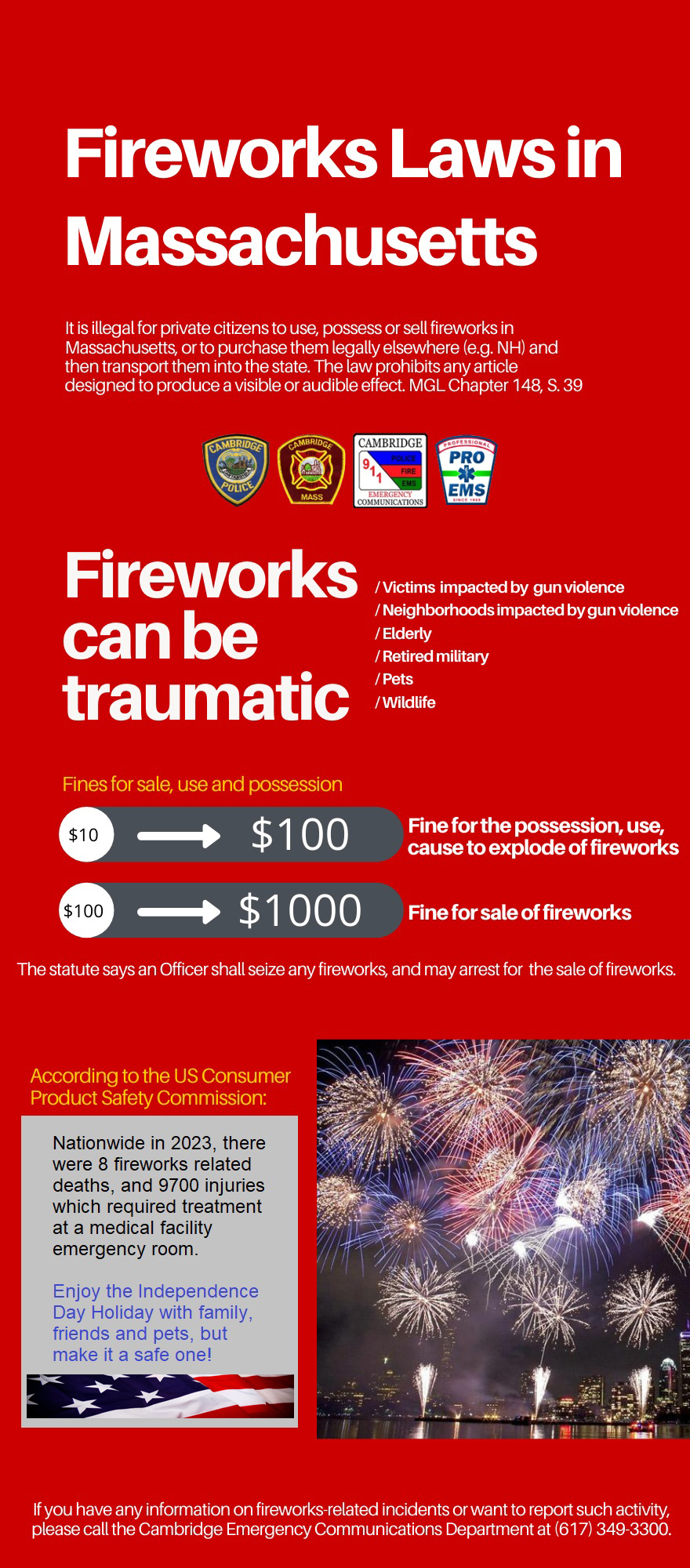 fireworks graphic - 2025 update
