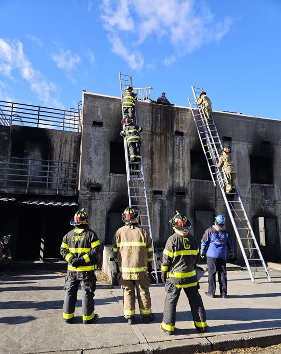 roof ladders TD 10