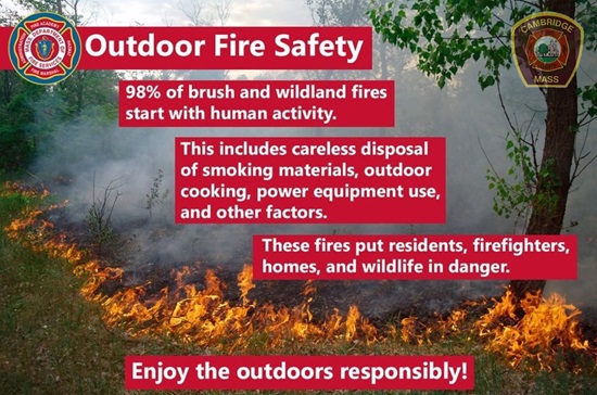 Wildfires
