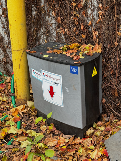 A grey smart box rat trap placed on the ground outdoors, surrounded by autumnal leaves