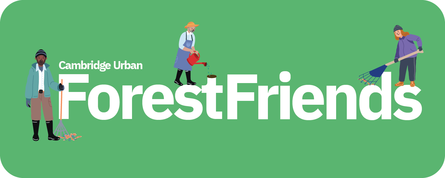Forest Friends Program Logo