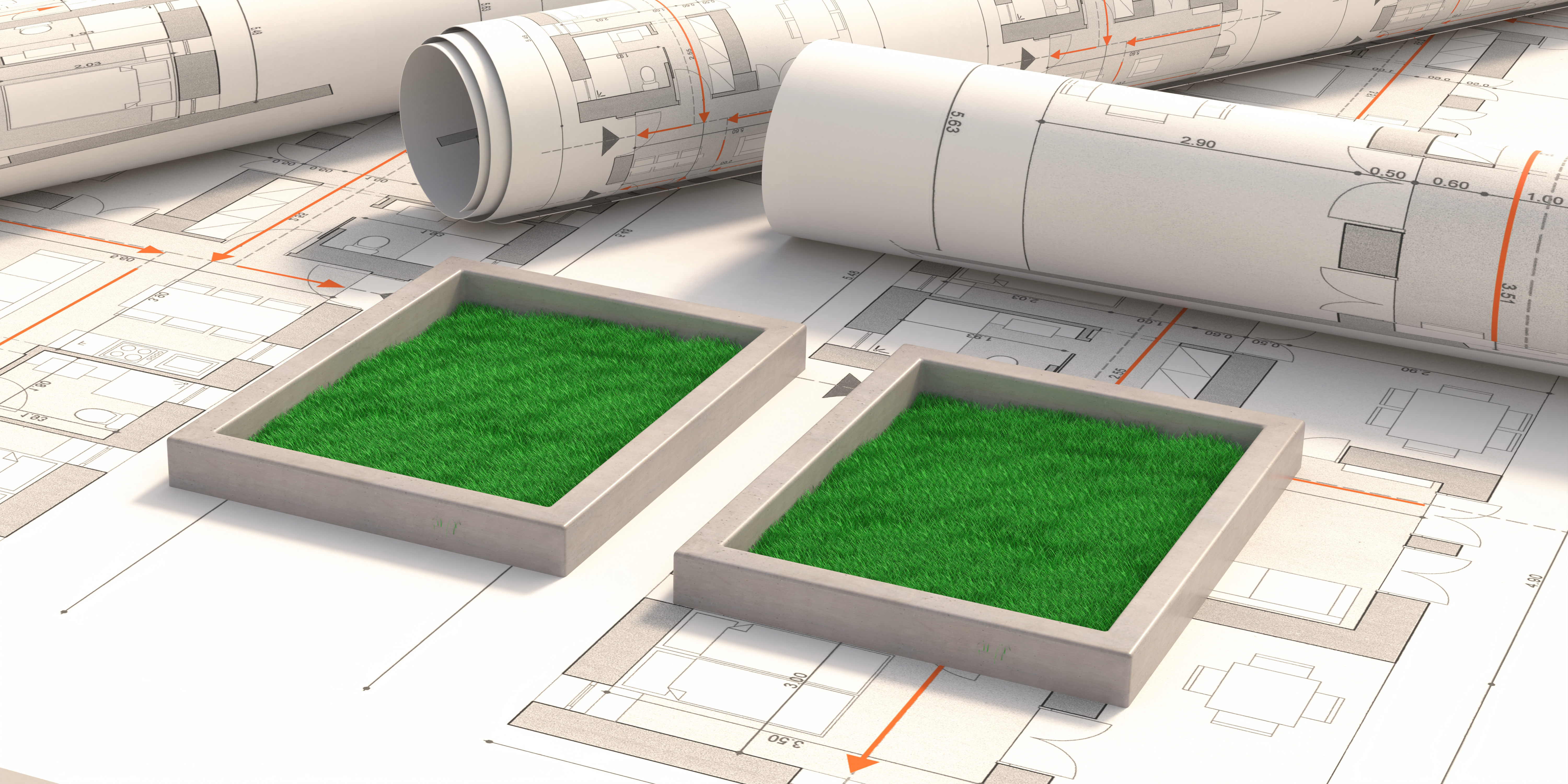 Image of building plans with two grass samples