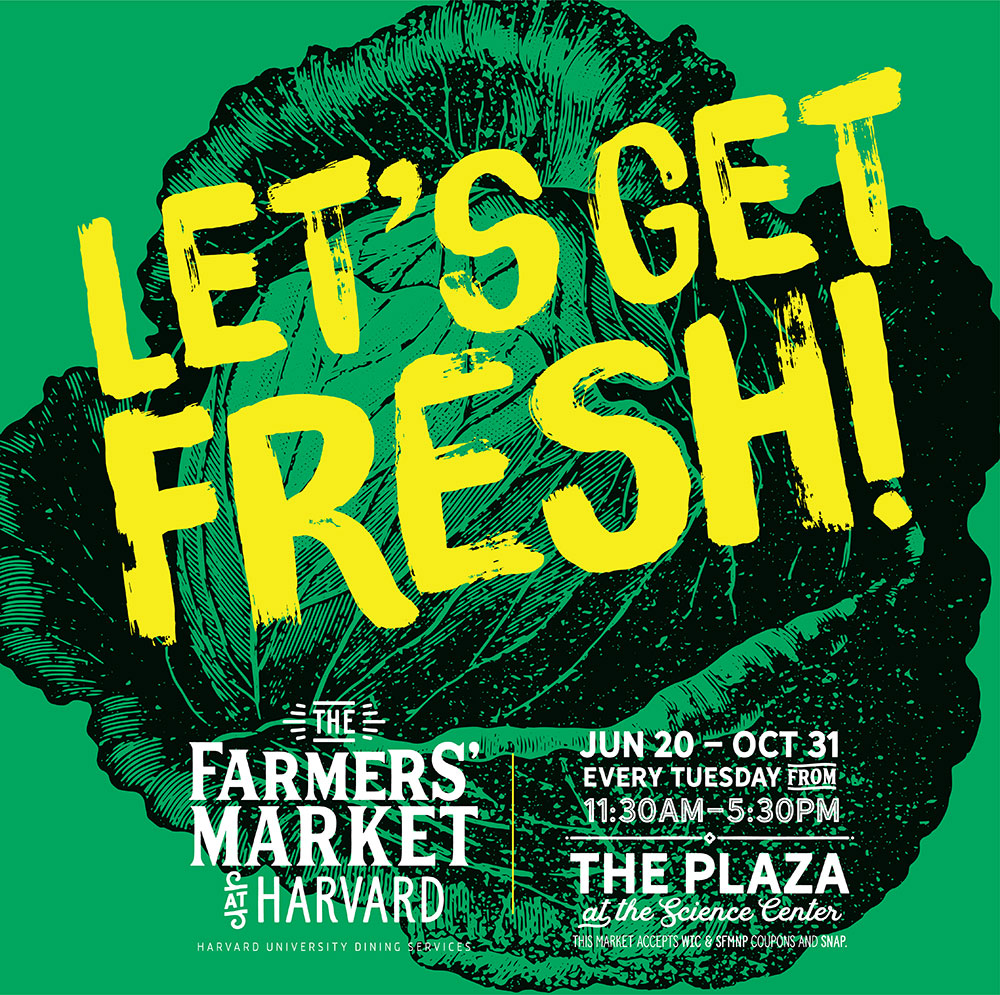 Farmer's Market at Harvard. With illustration of a cabbage.