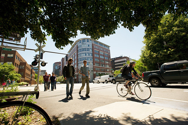 People biking and walking on street