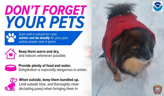 cold weather precautions - 1