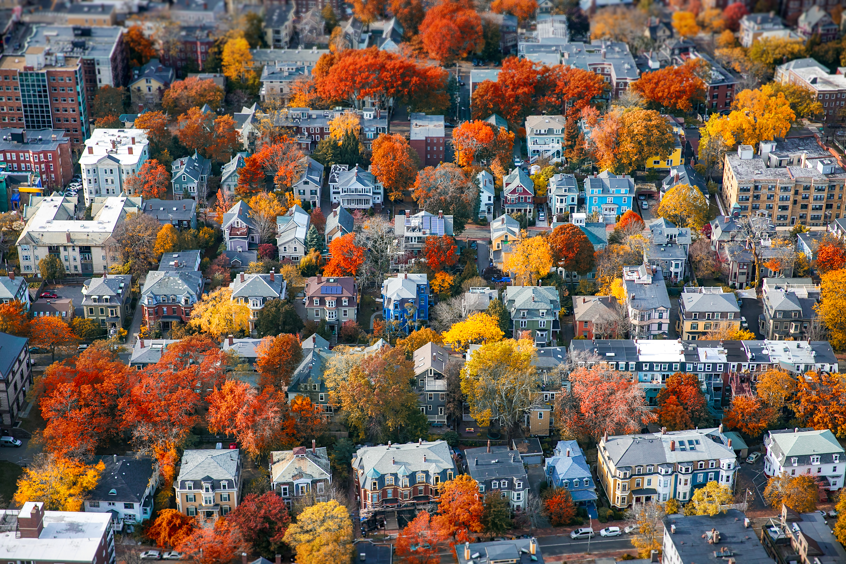 aerial view of Cambridge neighborhood in fall with changing trees.