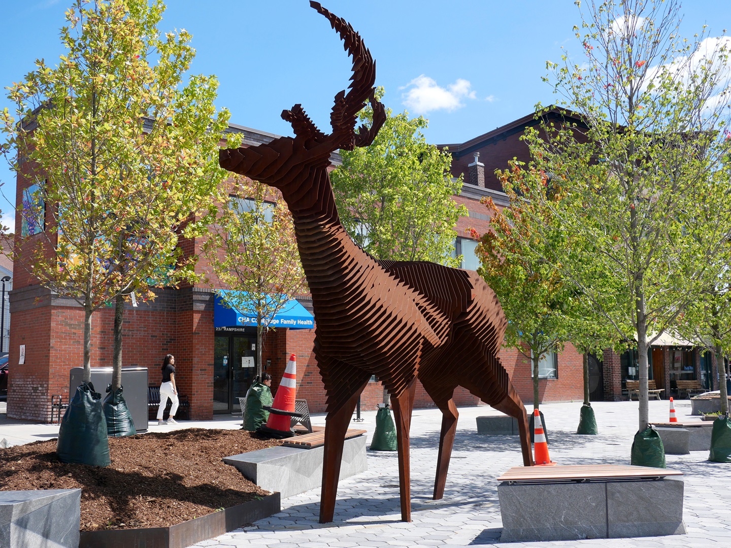 A Giant Deer Lands in Inman Square