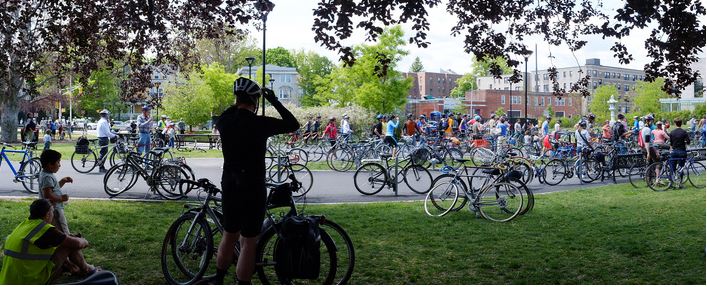 Bunch of Bikes