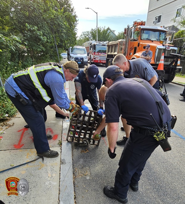 Racoon Rescue - Harvey St 1Aug2024 - group 2 - 3