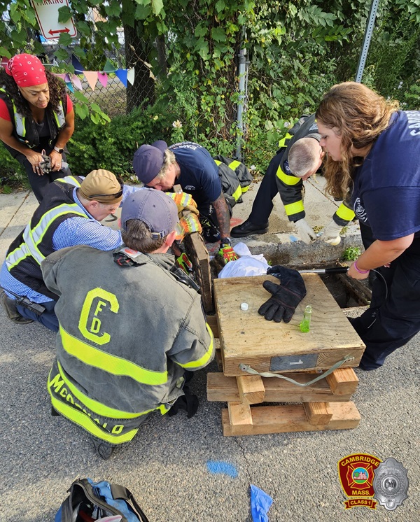 Racoon Rescue - Harvey St 1Aug2024 - group 2 - 4