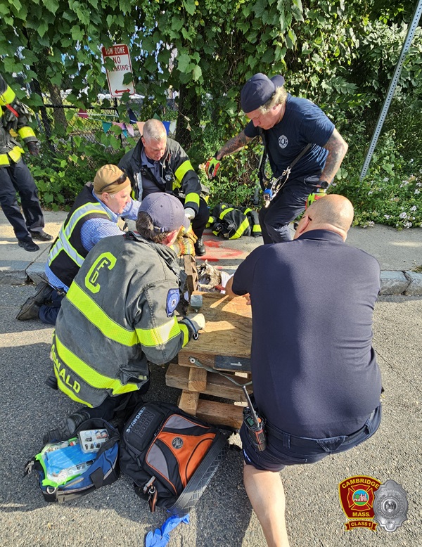 Racoon Rescue - Harvey St 1Aug2024 - group 2 - 5