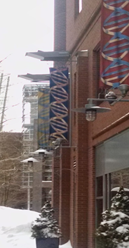 Wayfinding banner on side of building