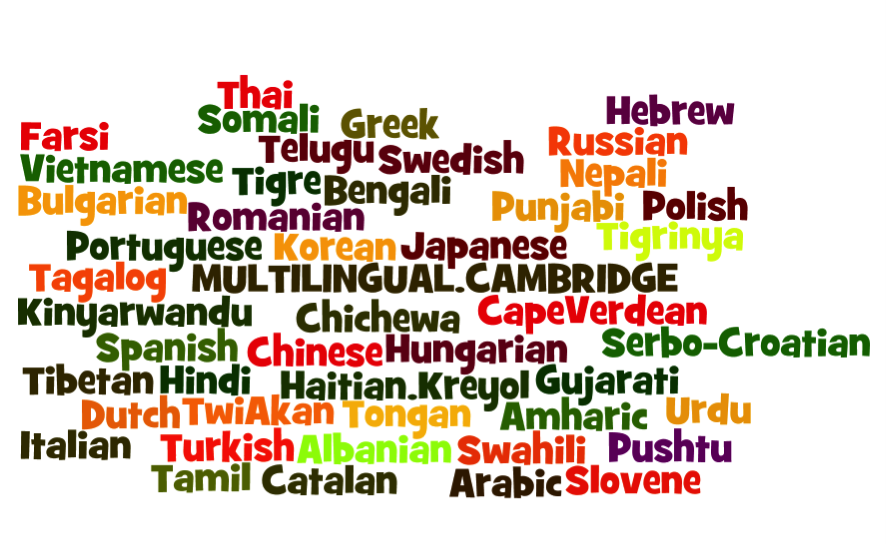 Graphic showing list of languages