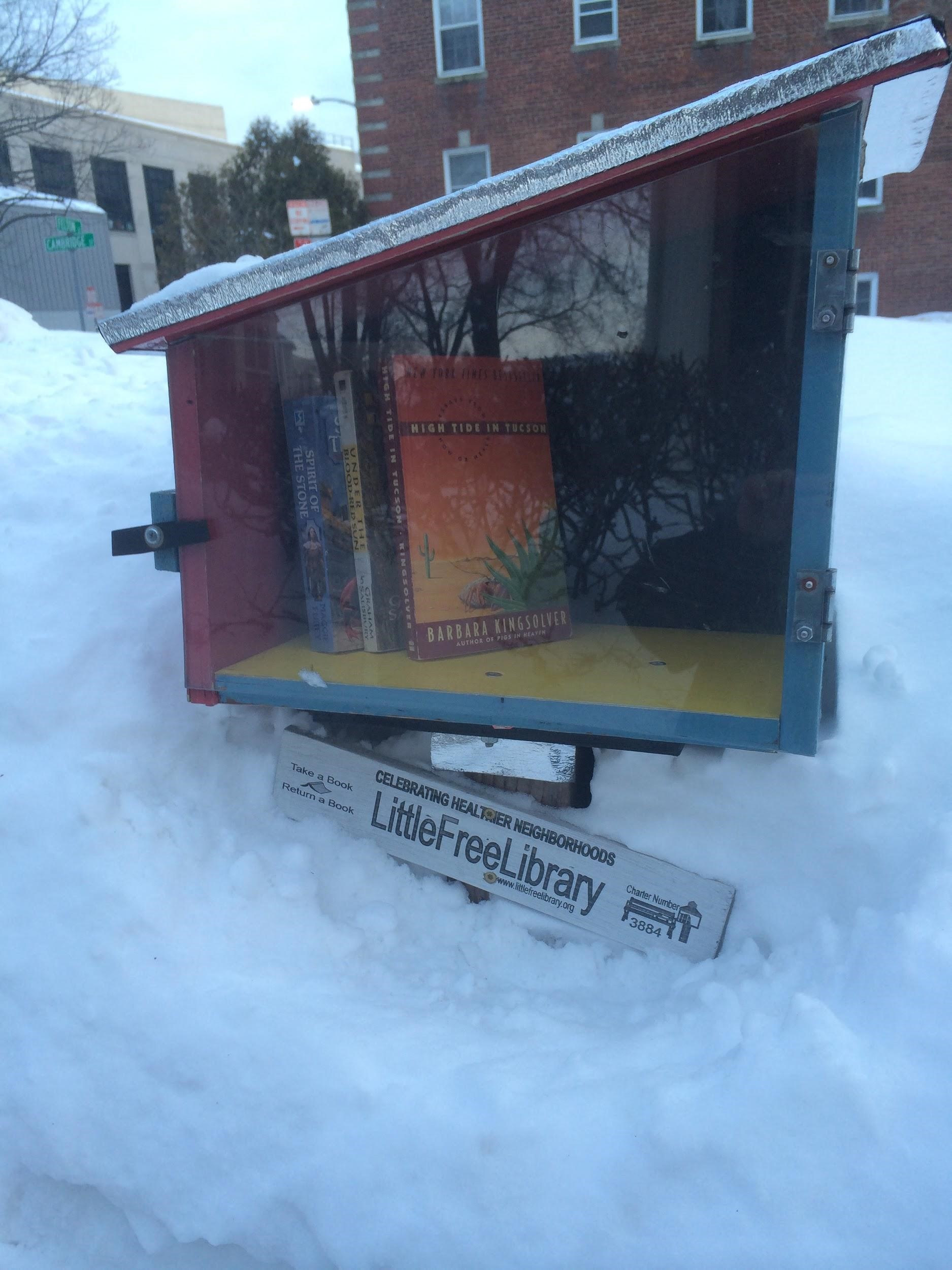 Very close up view of Little Free Library surrounded by snow