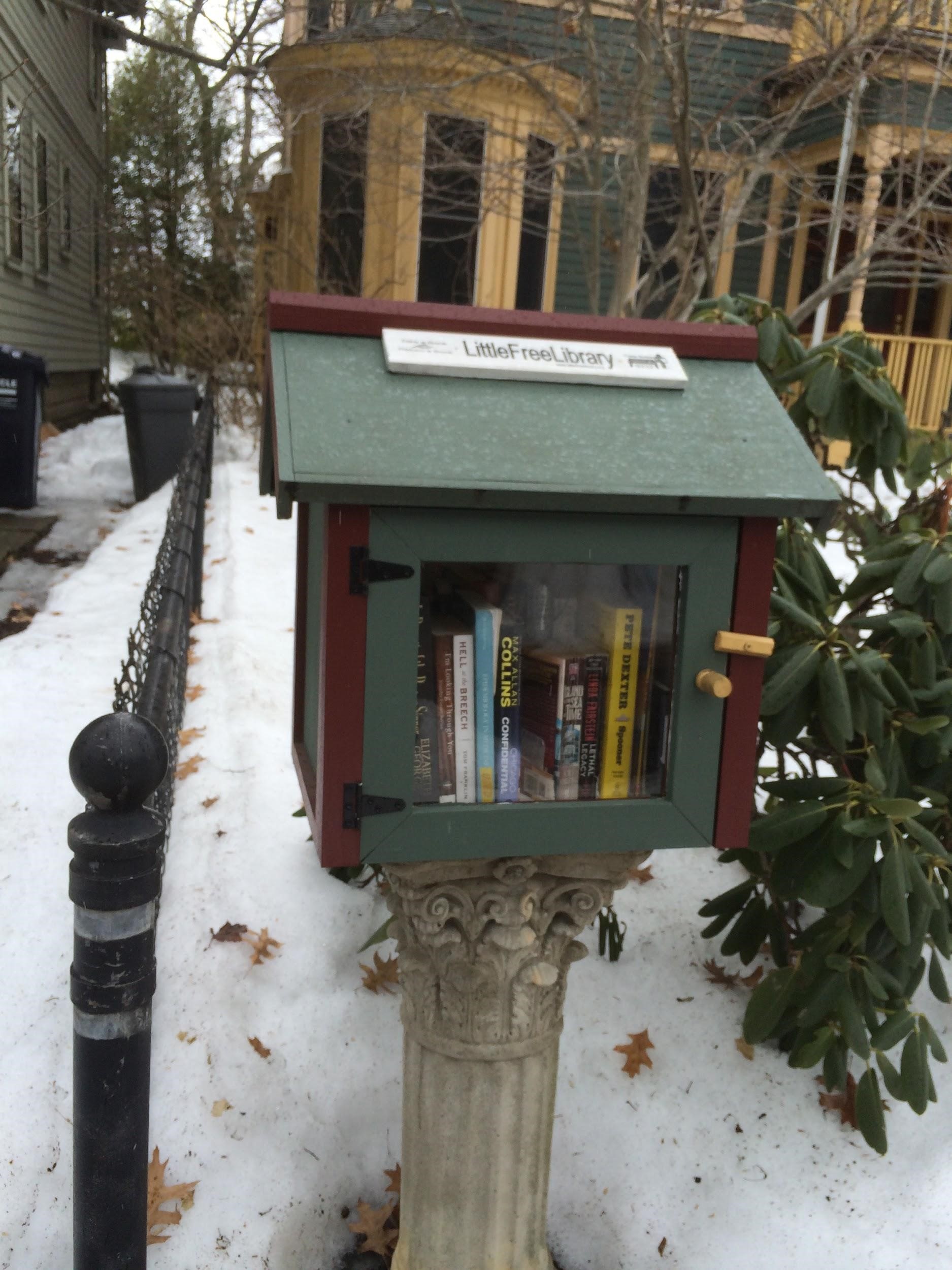 Close up of a Little Free Library on the side of a street