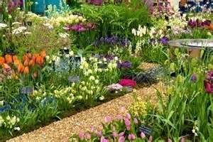 Garden path with flowers and plants on either side