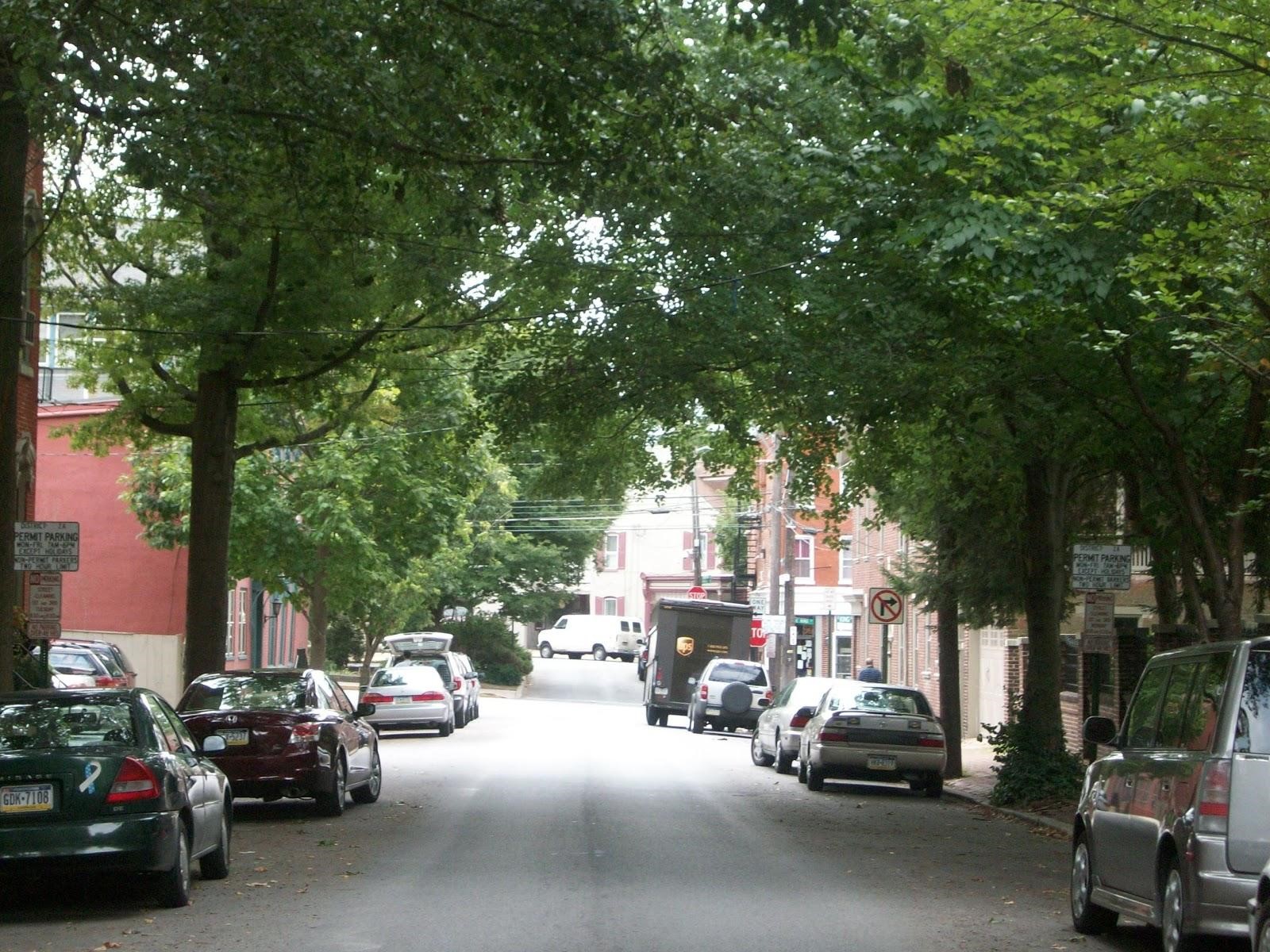 View of a street with trees lining the sides