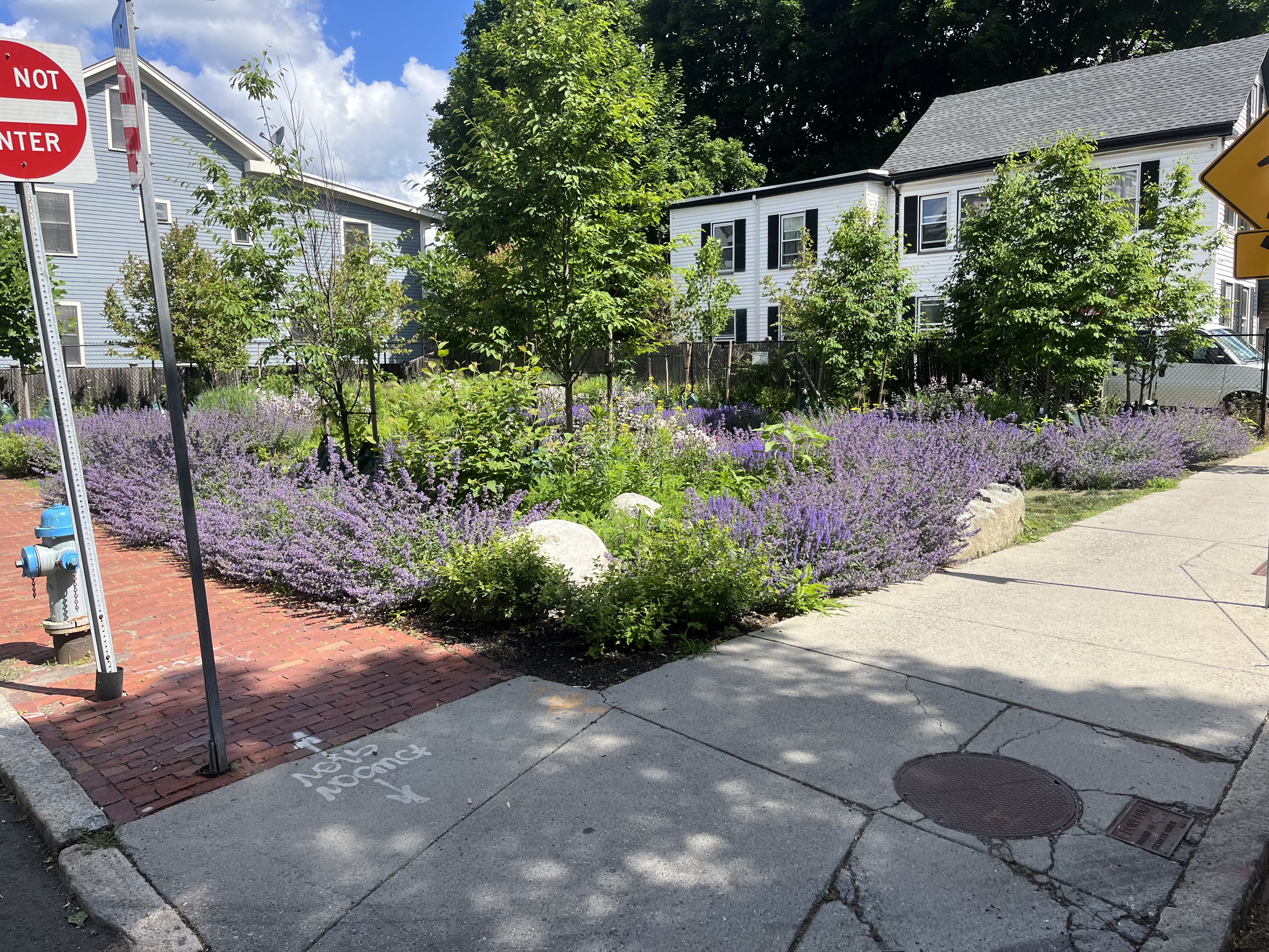 Pollinator garden at Watson Street Lot