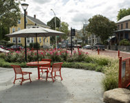 Shaded seating in a Cambridge park