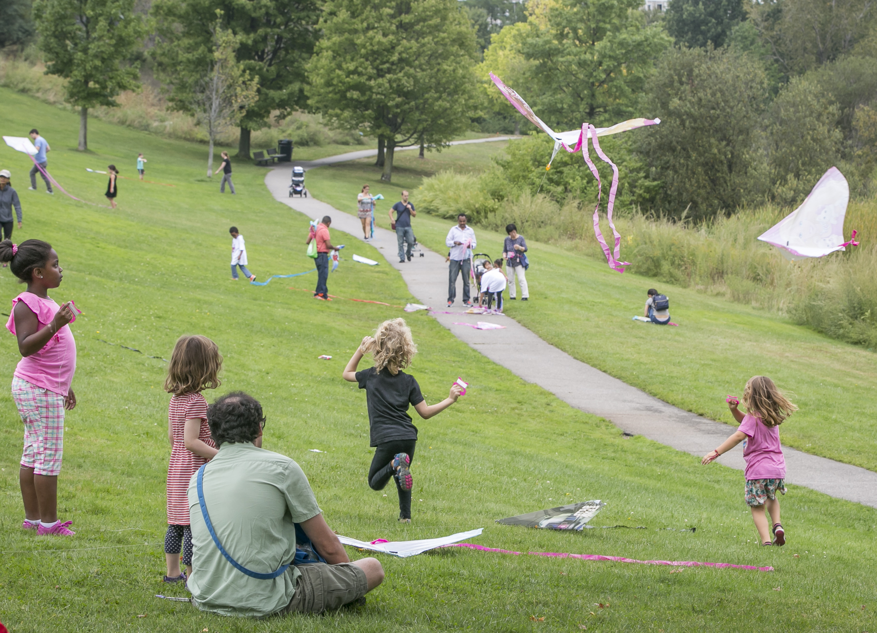 Danehy Park kite flying