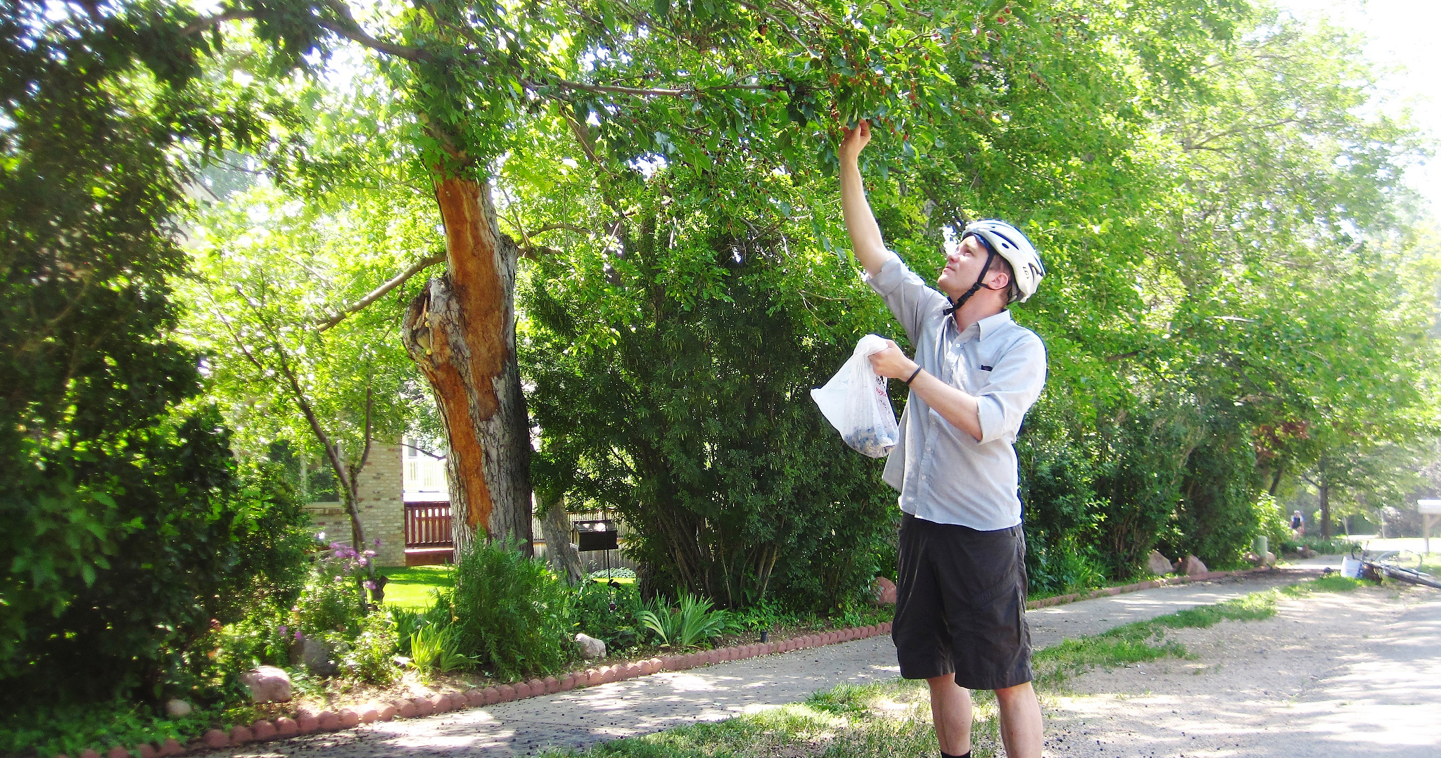 Urban Gardening Series: Nibbling on Nature in the City ...